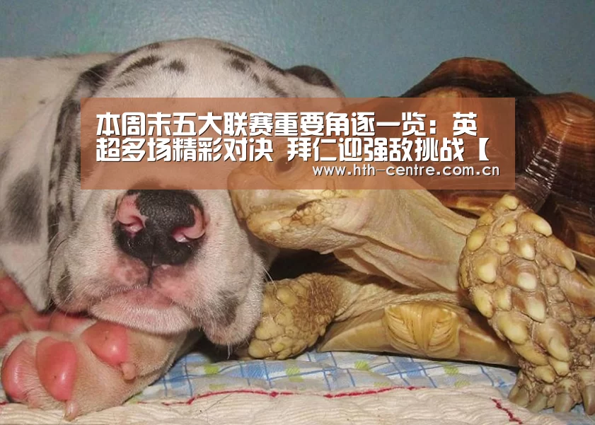 华体会体育app下载