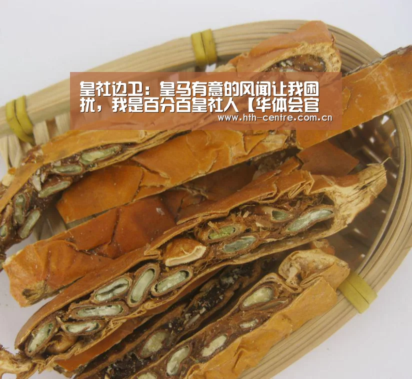 华体会官方网站入口