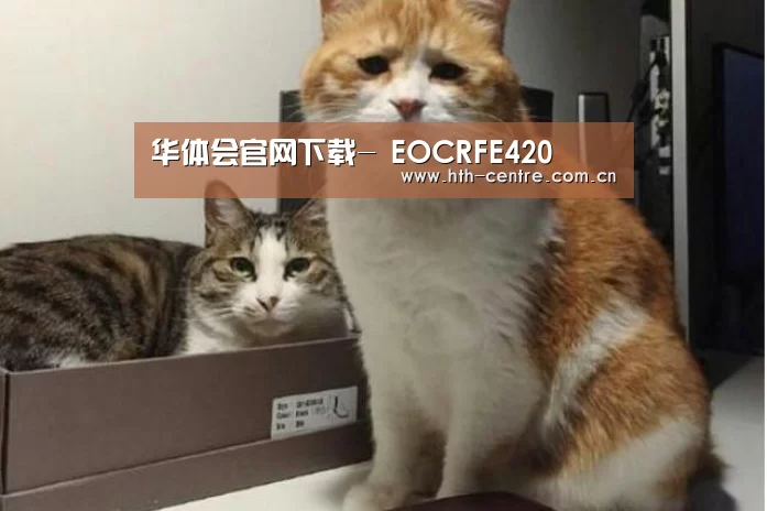 华体会官方平台